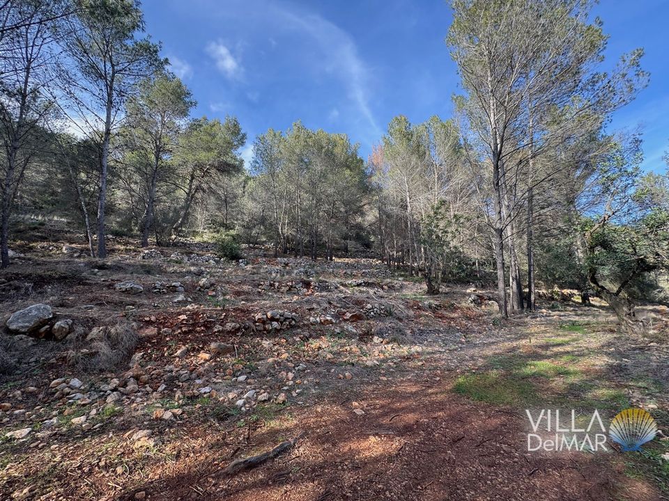 Helårsgrund i Jalon, Alicante - foto 1